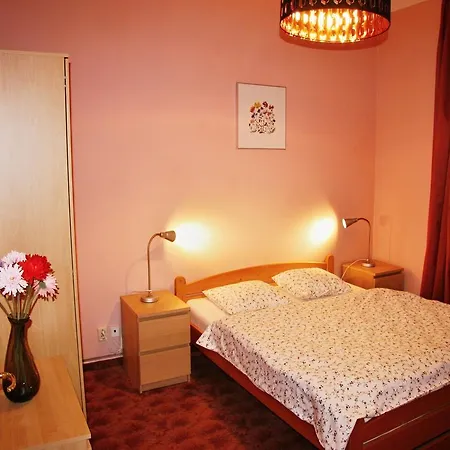 公寓 Apartman Ondrejska 118 卡罗维发利